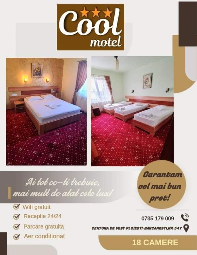 Motel Cool Bărcăneşti Buitenkant foto